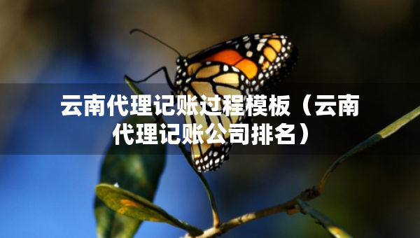 云南代理记账过程模板（云南代理记账公司排名）