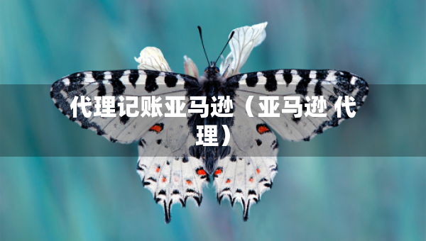 代理记账亚马逊（亚马逊 代理）