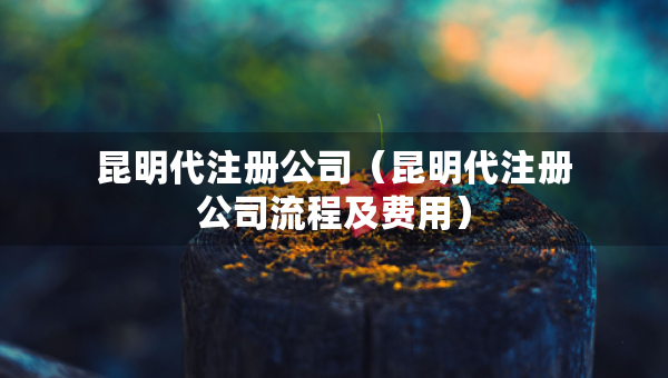 昆明代注册公司（昆明代注册公司流程及费用）