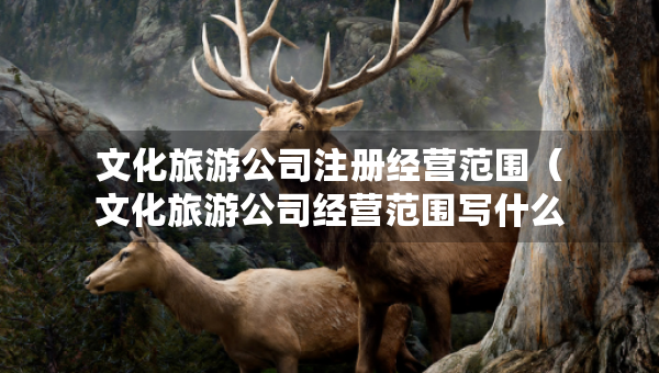 文化旅游公司注册经营范围（文化旅游公司经营范围写什么）