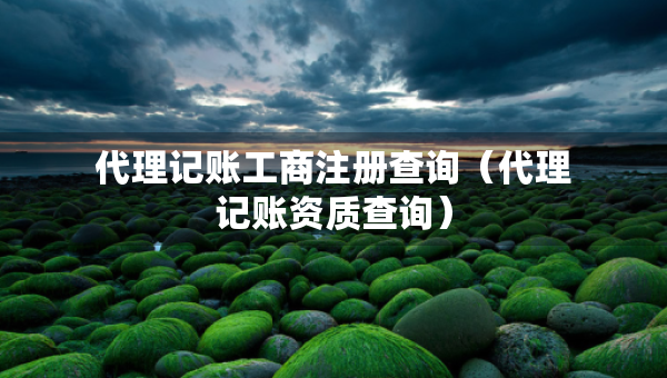 代理记账工商注册查询（代理记账资质查询）