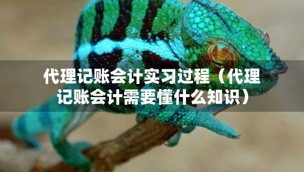 代理记账会计实习过程（代理记账会计需要懂什么知识）