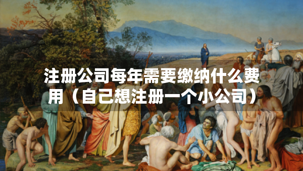 注册公司每年需要缴纳什么费用（自己想注册一个小公司）