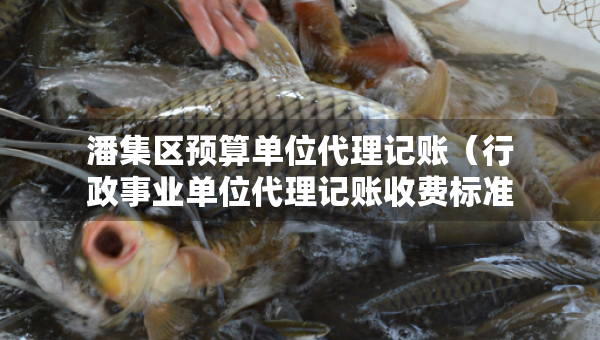 潘集区预算单位代理记账（行政事业单位代理记账收费标准文件）