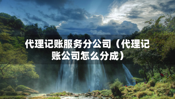代理记账服务分公司(代理记账公司怎么分成) 代理记账服务分公司(代理记账公司怎么分成)