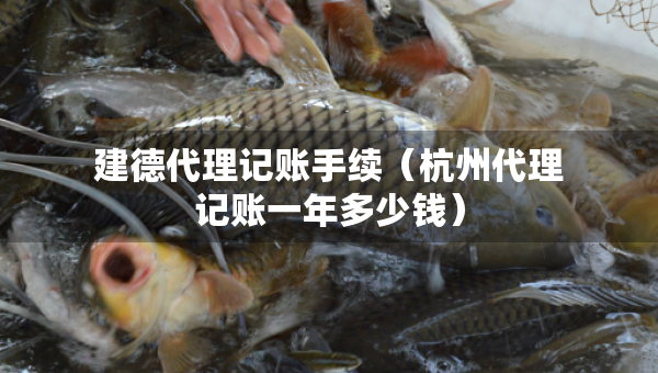建德代理记账手续（杭州代理记账一年多少钱）