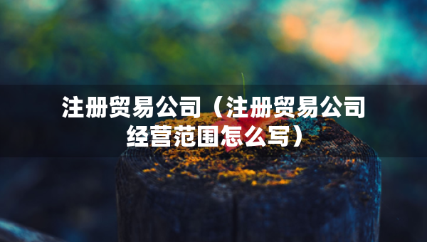 注册贸易公司（注册贸易公司经营范围怎么写）