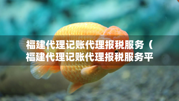 福建代理记账代理报税服务（福建代理记账代理报税服务平台）