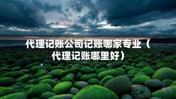 代理记账公司记账哪家专业（代理记账哪里好）
