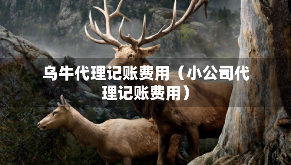 乌牛代理记账费用（小公司代理记账费用）