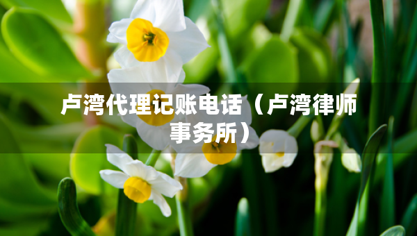 卢湾代理记账电话(卢湾律师事务所) 卢湾代理记账电话(卢湾律师事务所)