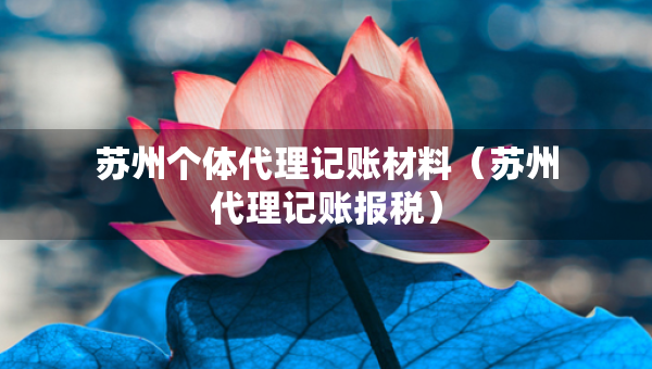 苏州个体代理记账材料（苏州代理记账报税）