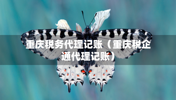 重庆税务代理记账（重庆税企通代理记账）