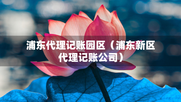 浦东代理记账园区（浦东新区代理记账公司）