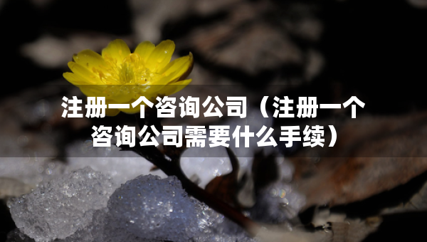 注册一个咨询公司（注册一个咨询公司需要什么手续）