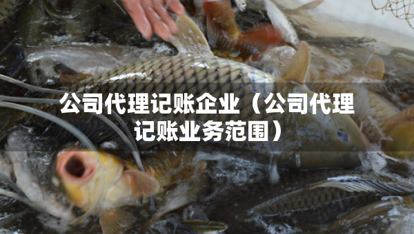公司代理记账企业（公司代理记账业务范围）
