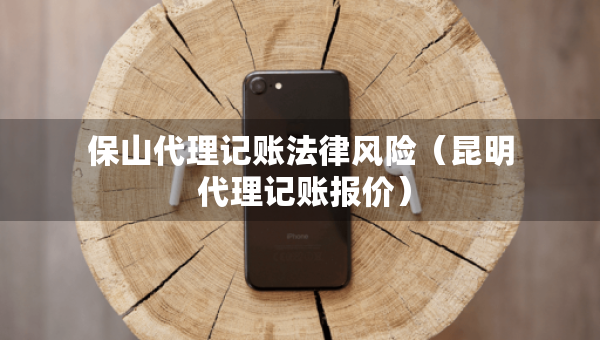 保山代理记账法律风险（昆明 代理记账报价）