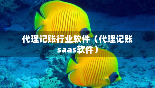 代理记账行业软件（代理记账saas软件）