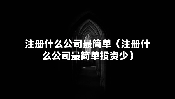 注册什么公司最简单（注册什么公司最简单投资少）
