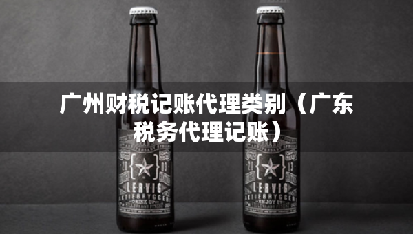 广州财税记账代理类别（广东税务代理记账）