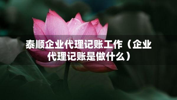 泰顺企业代理记账工作（企业代理记账是做什么）