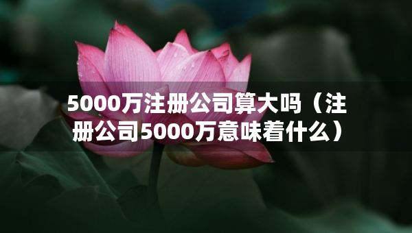 5000万注册公司算大吗（注册公司5000万意味着什么）