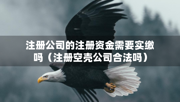 注册公司的注册资金需要实缴吗（注册空壳公司合法吗）