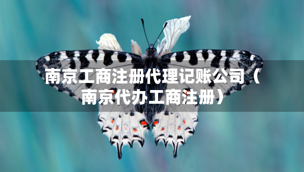 南京工商注册代理记账公司(南京代办工商注册) 南京工商注册代理记账公司(南京代办工商注册)