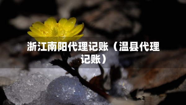 浙江南阳代理记账（温县代理记账）