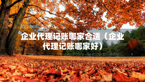 企业代理记账哪家合适（企业代理记账哪家好）