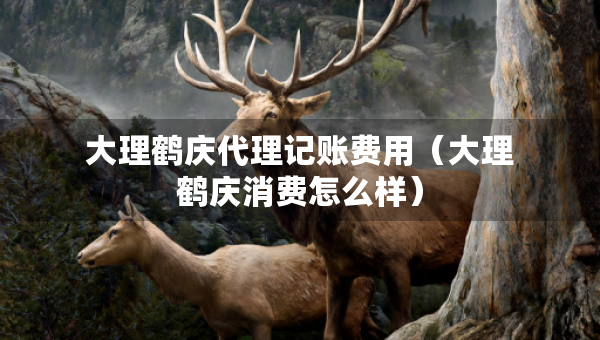 大理鹤庆代理记账费用（大理鹤庆消费怎么样）