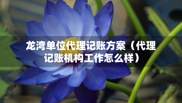 龙湾单位代理记账方案(代理记账机构工作怎么样) 龙湾单位代理记账方案(代理记账机构工作怎么样)
