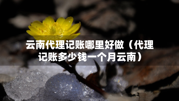 云南代理记账哪里好做（代理记账多少钱一个月云南）