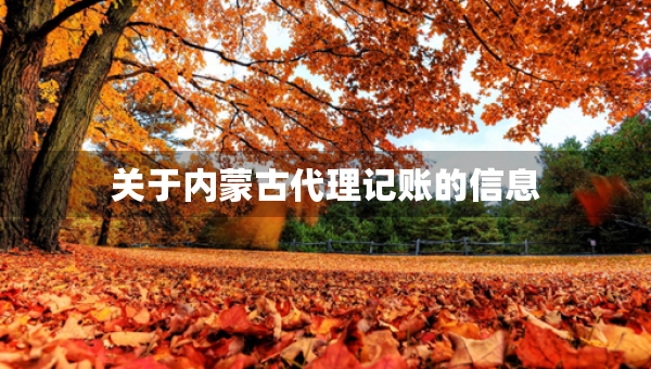 关于内蒙古代理记账的信息