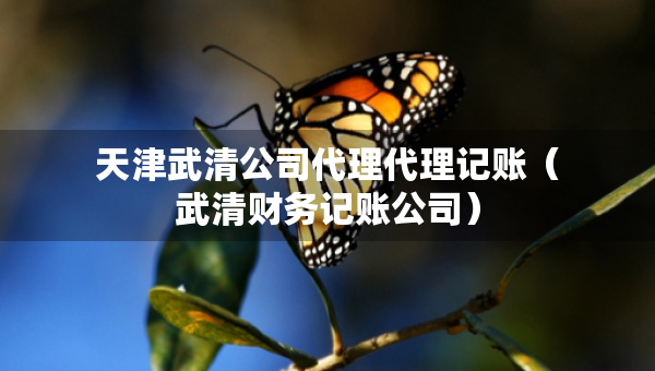 天津武清公司代理代理记账（武清财务记账公司）