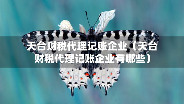 天台财税代理记账企业（天台财税代理记账企业有哪些）