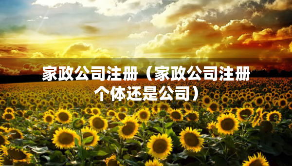 家政公司注册（家政公司注册个体还是公司）
