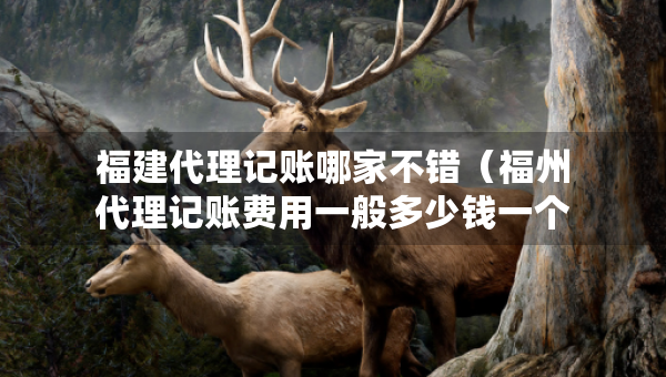 福建代理记账哪家不错（福州代理记账费用一般多少钱一个月）