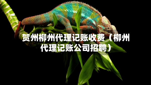 贺州柳州代理记账收费（柳州代理记账公司招聘）