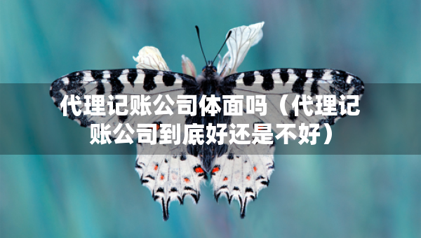 代理记账公司体面吗（代理记账公司到底好还是不好）