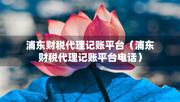 浦东财税代理记账平台（浦东财税代理记账平台电话）
