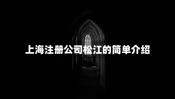 上海注册公司松江的简单介绍