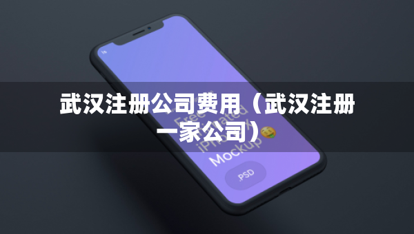 武汉注册公司费用（武汉注册一家公司）