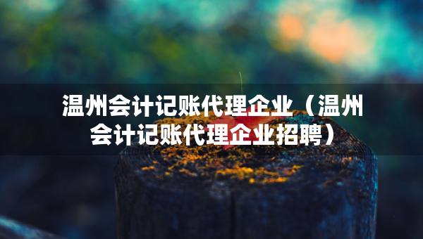 温州会计记账代理企业（温州会计记账代理企业招聘）