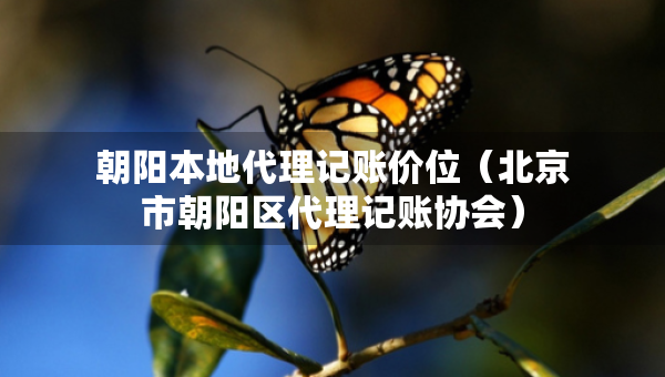 朝阳本地代理记账价位（北京市朝阳区代理记账协会）