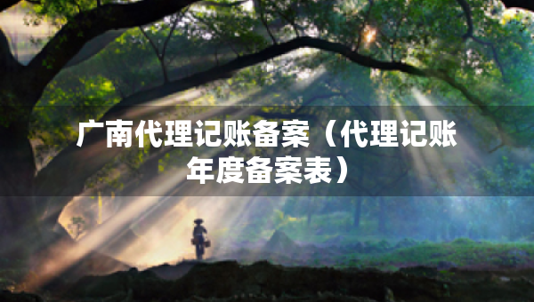 广南代理记账备案（代理记账年度备案表）