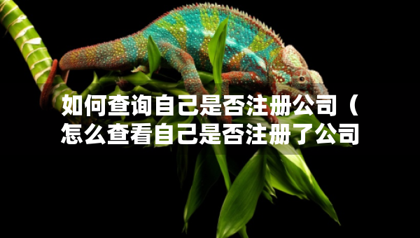 如何查询自己是否注册公司（怎么查看自己是否注册了公司）