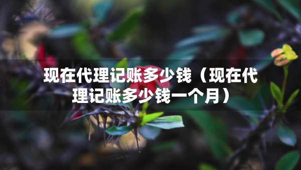 现在代理记账多少钱（现在代理记账多少钱一个月）