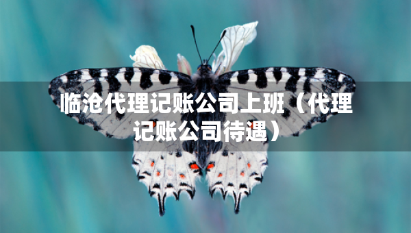 临沧代理记账公司上班（代理记账公司待遇）