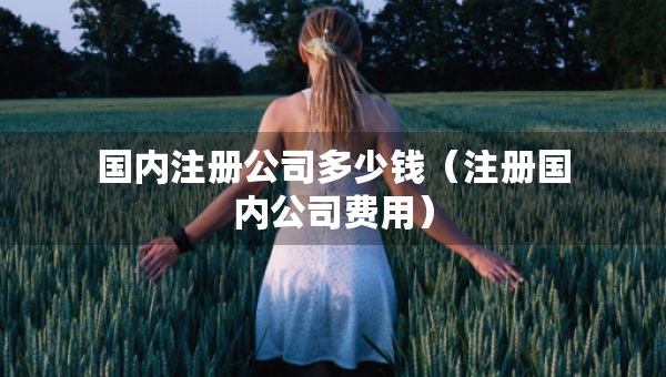 国内注册公司多少钱（注册国内公司费用）